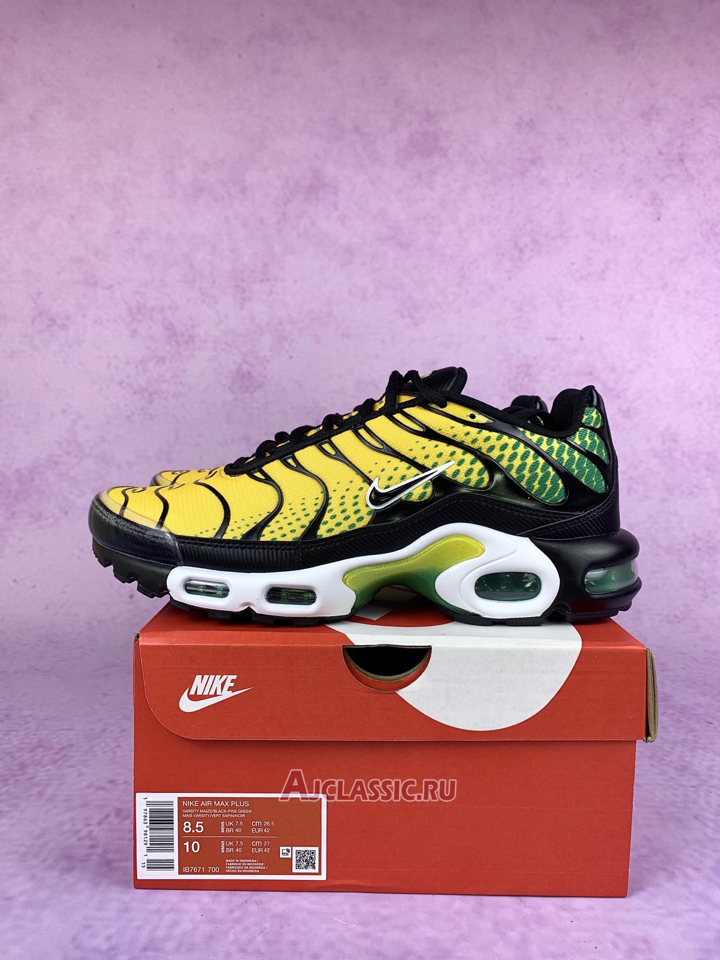 New Nike Air Max Plus "Varsity Maize Pine Green" IB7671-700 Shoes
