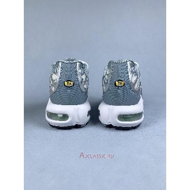 Buy Nike Air Max Plus Palm Pack - Green Green CI2301-300 Quality Reps Replicas Shoes