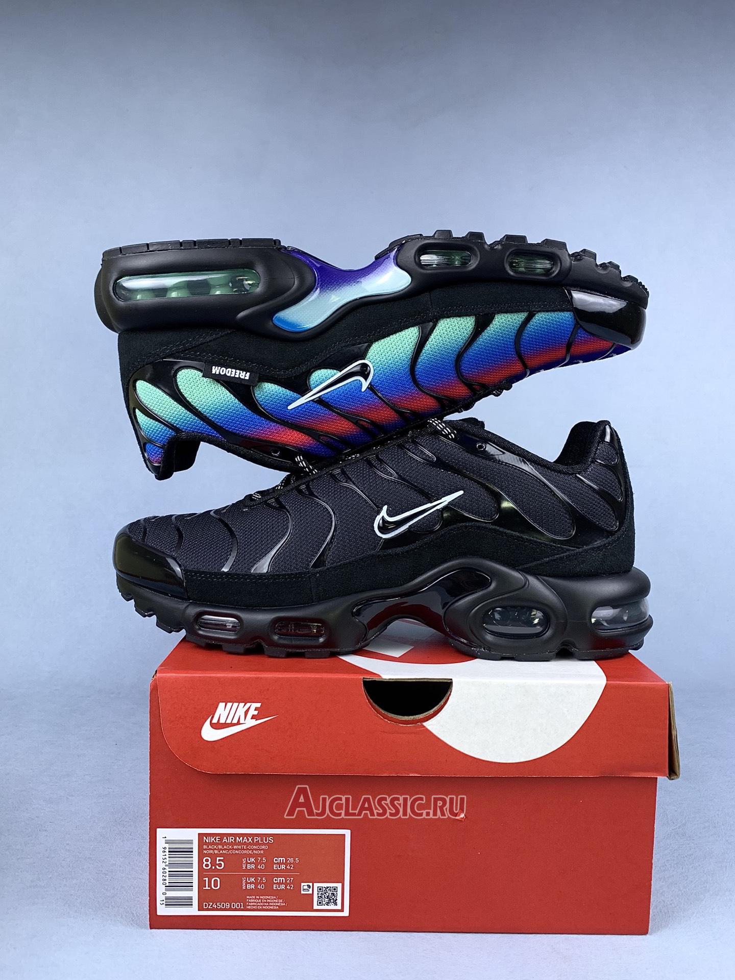 New Nike Air Max Plus "Unity" DZ4509-001 Shoes