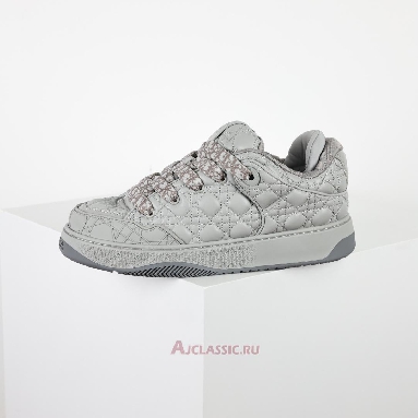 Buy Dior B9s Skater Dior Gray (Numbered) Sneaker Grey 3SN288ZZP_H868 Quality Reps Replicas Shoes