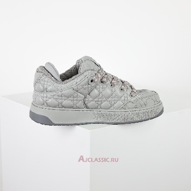 Buy Dior B9s Skater Dior Gray (Numbered) Sneaker Grey 3SN288ZZP_H868 Quality Reps Replicas Shoes