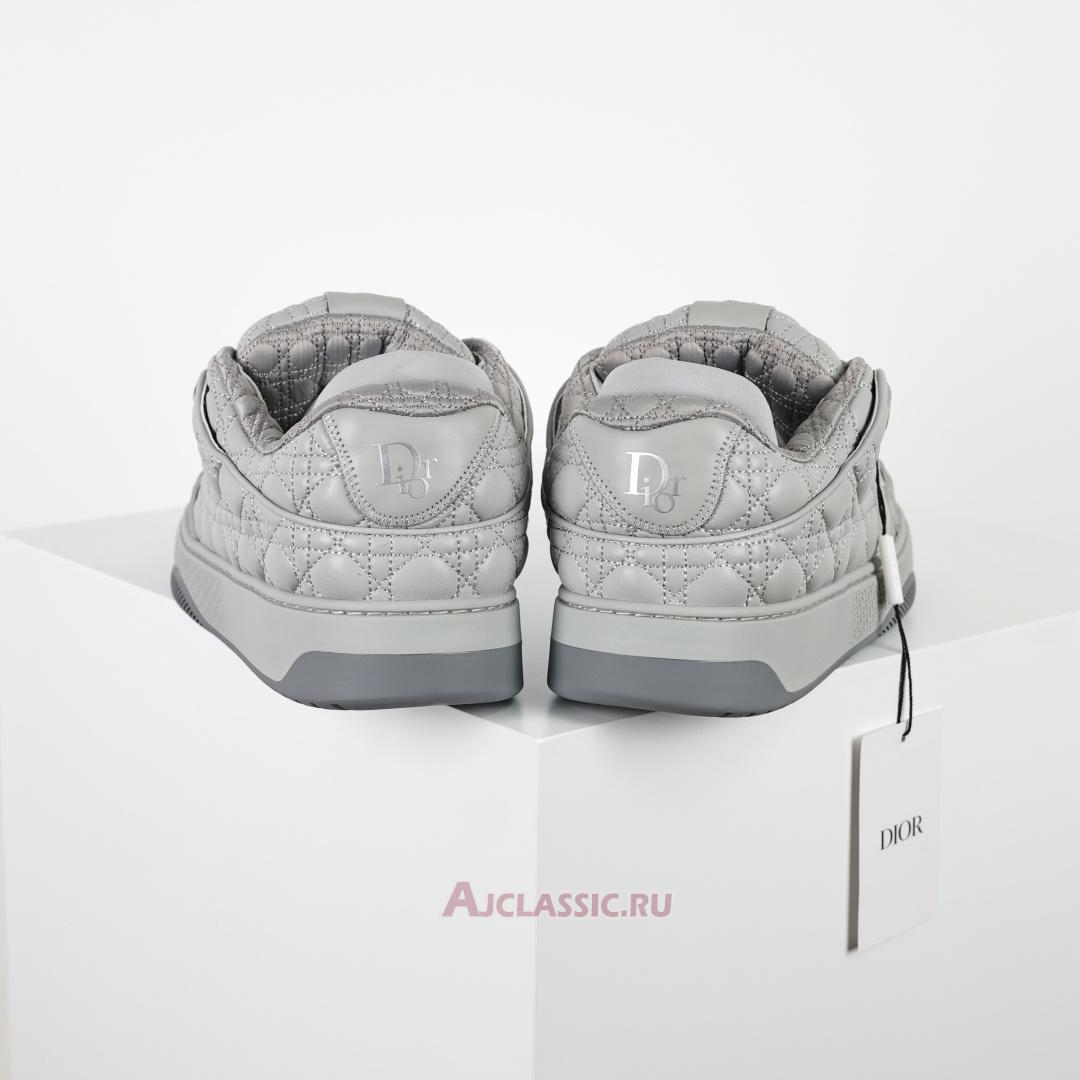 New Dior B9s Skater "Dior Gray (Numbered)" Sneaker 3SN288ZZP_H868 Shoes