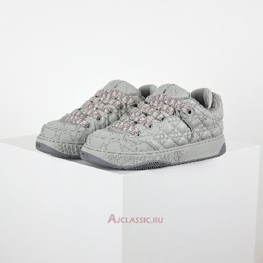 Buy Dior B9s Skater Dior Gray (Numbered) Sneaker Grey 3SN288ZZP_H868 Quality Reps Replicas Shoes