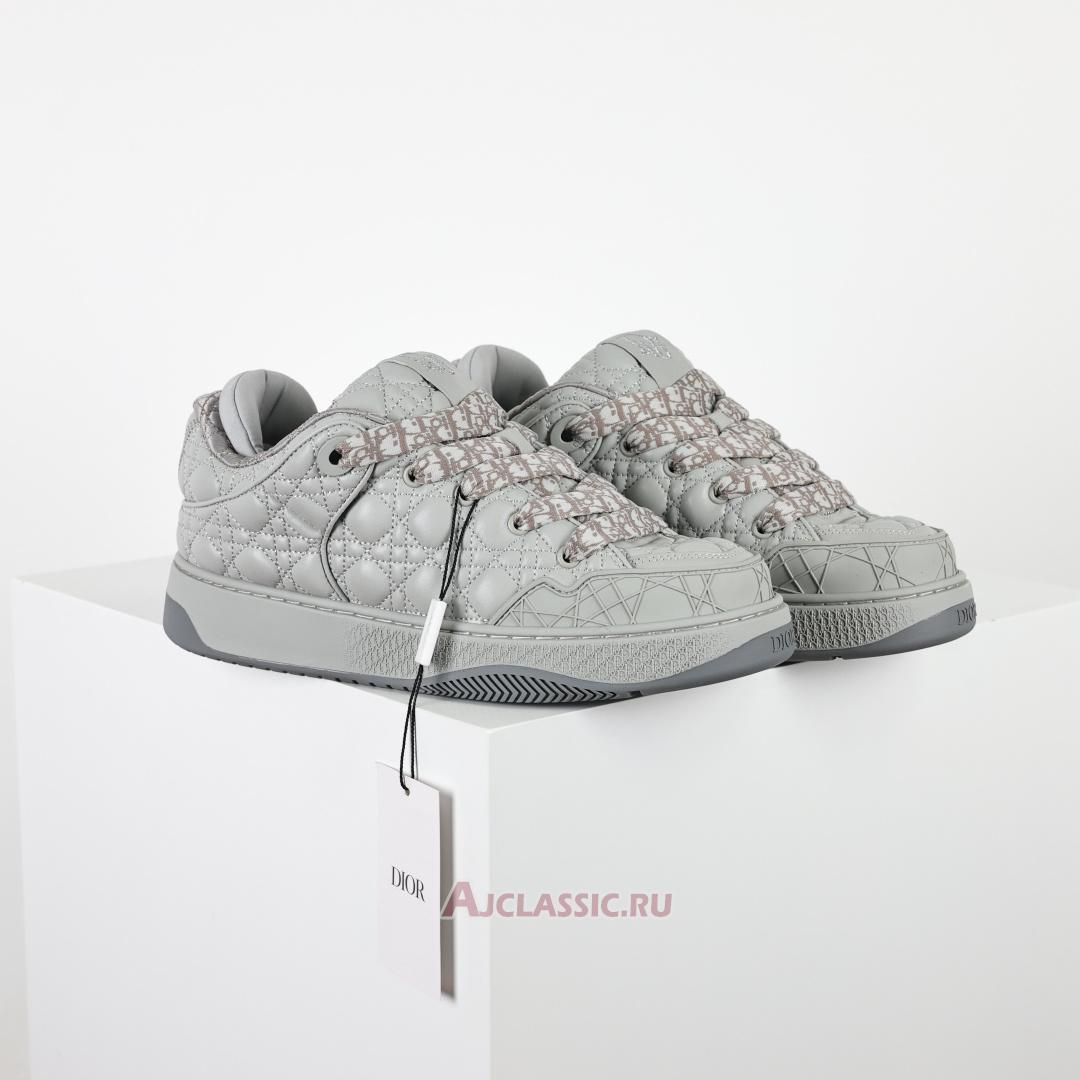 New Dior B9s Skater "Dior Gray (Numbered)" Sneaker 3SN288ZZP_H868 Shoes