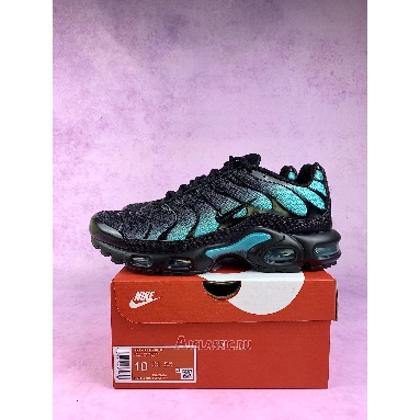 Buy Nike Air Max Plus Black Dusty Cactus Black DM0032-016 Quality Reps Replicas Shoes