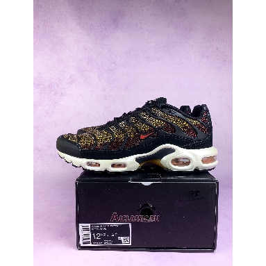 Buy Swarovski x Nike Air Max Plus Sunset Black FZ9042-001 Quality Reps Replicas Shoes