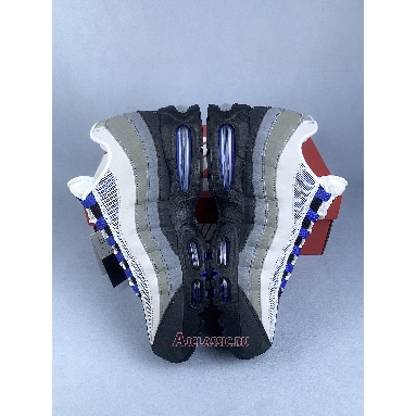 Buy Nike Air Max 95 Photon Dust Sapphire Raisin Grey HM4740-009 Quality Reps Replicas Shoes
