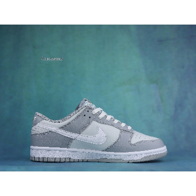 Nike Dunk Low Pure Platinum DJ6188-001 Pure Platinum/White/Wolf Grey Mens Womens Shoes