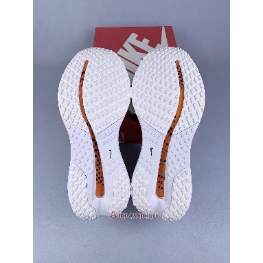 Buy Nike Pegasus Premium Airscape Grey HQ2592-002 Quality Reps Replicas Shoes