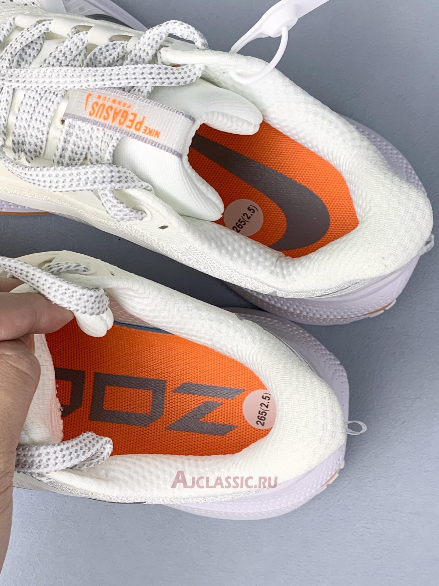 New Nike Pegasus Premium "Airscape" HQ2592-002 Shoes