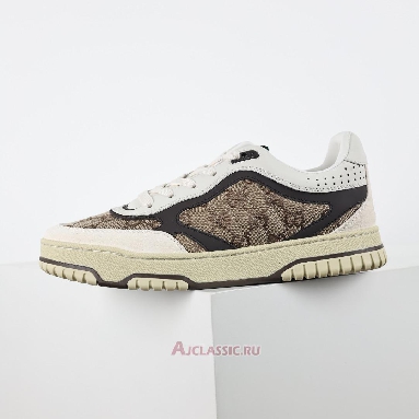 Buy Gucci Re-Web Sneaker GG Canvas - Beige Ebony Brwon 787476 AADHW 9568 Quality Reps Replicas Shoes